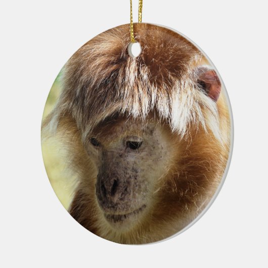 MONKEYS KERAMIKORNAMENT (Links)