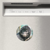 MONKEYS MAGNET (In Situ (Geschirrspüler))