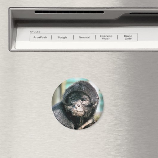MONKEYS MAGNET (In Situ (Geschirrspüler))