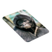 MONKEYS MAGNET (Rechte Seite)