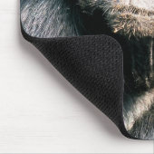 MONKEYS MOUSEPAD (Ecke)