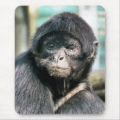 MONKEYS MOUSEPAD (Vorne)