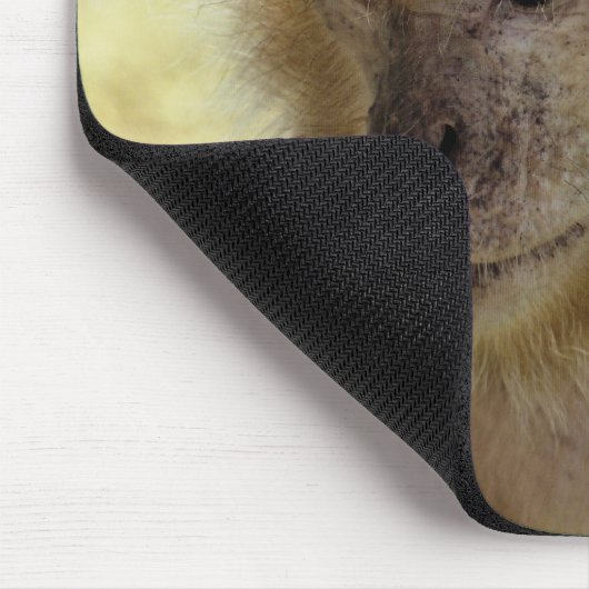 MONKEYS MOUSEPAD (Ecke)
