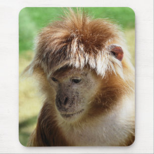MONKEYS MOUSEPAD