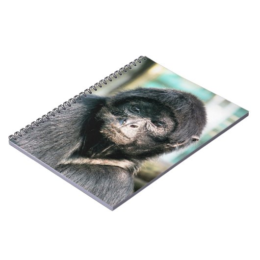 MONKEYS NOTIZBLOCK (Linke Seite)