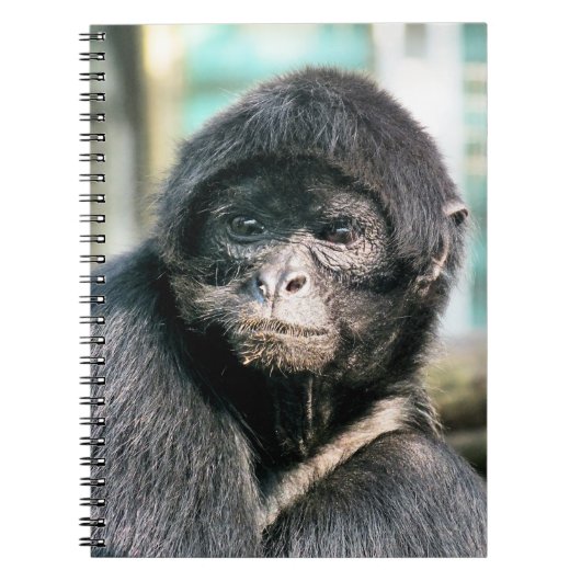 MONKEYS NOTIZBLOCK (Vorderseite)