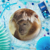 MONKEYS PAPPTELLER (Party)