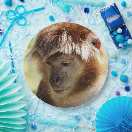 MONKEYS PAPPTELLER (Party)