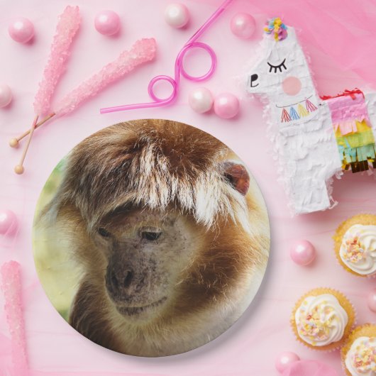 MONKEYS PAPPTELLER (Party)