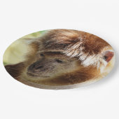 MONKEYS PAPPTELLER (Schrägansicht)