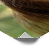 MONKEYS POSTER (Ecke)