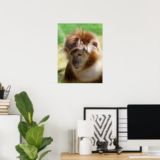 MONKEYS POSTER (Heimbüro)