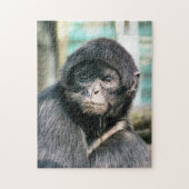 MONKEYS PUZZLE (Vertikal)