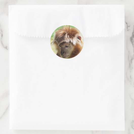 MONKEYS RUNDER AUFKLEBER (Tasche)
