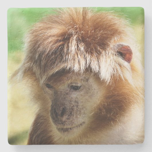 MONKEYS STEINUNTERSETZER (Vorderseite)