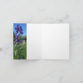 Monkshood-Blues Karte (Innenseite)