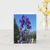 Monkshood-Blues Karte (Gelbe Blume)