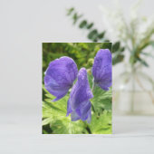 Monkshood-Blüten, Insel Unalaska Postkarte (Stehend Vorderseite)