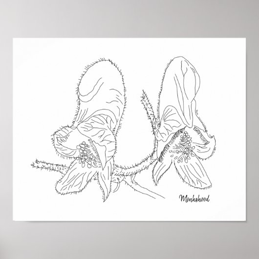Monkshood Illustration Poster (Vorne)