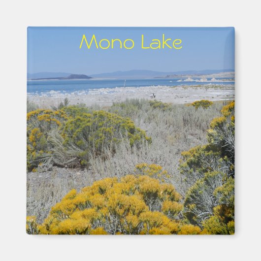 Mono Lake, CA Magnet (Vorne)