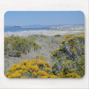 Mono Lake, CA Mousepad