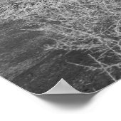 Mono Lake Poster (Ecke)