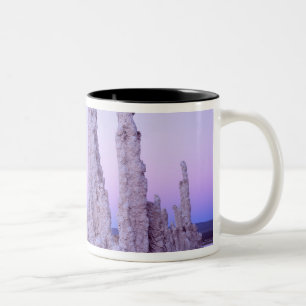 Mono Lake Reserve. Kalifornien. USA. Tufa Zweifarbige Tasse