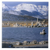 MONO LAKE TUFA STAAT NATURRESERVE, FLIESE (Vorderseite)