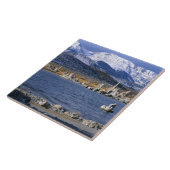 MONO LAKE TUFA STAAT NATURRESERVE, FLIESE (Seite)