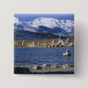 MONO LAKE TUFA STATE NATURAL RESERVE, BUTTON