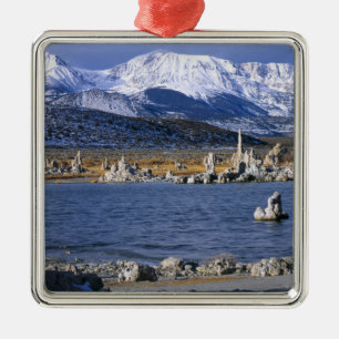 MONO LAKE TUFA STATE NATURAL RESERVE, ORNAMENT AUS METALL