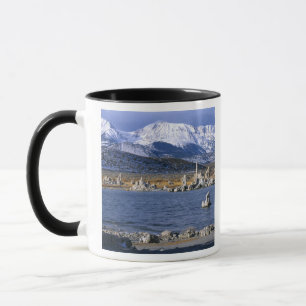 MONO LAKE TUFA STATE NATURAL RESERVE, TASSE