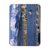 MONO SEE TUFA STAAT NATURRESERVE, MAGNET (Vertikal)