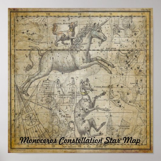 Monoceros Unicorn Star Map Constellation Astronomi Poster (Vorne)