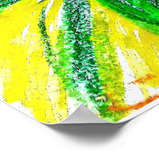 Monochromatic, Rosas, Dianthus caryophyllus,  Gerb Poster (Ecke)