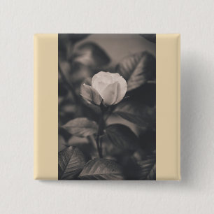 Monochromatische Rose Button