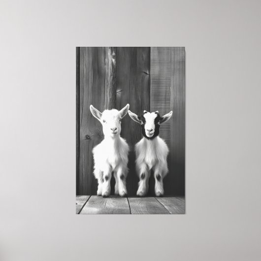 Monochromatisches Portrait von zwei Babyziegen Leinwanddruck (Vorderseite)