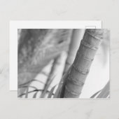 Monochrome Bamboo Postkarte (Vorne/Hinten)