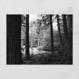 Monochrome Befreiung von der Walddunkelheit Postka Postkarte