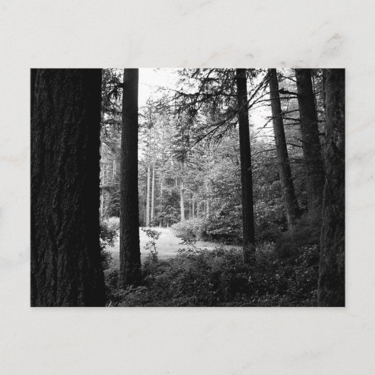 Monochrome Befreiung von der Walddunkelheit Postka Postkarte (Vorderseite)