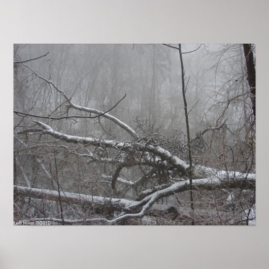 "Monochrome Blizzard" Schneesturm-Poster Poster (Vorne)