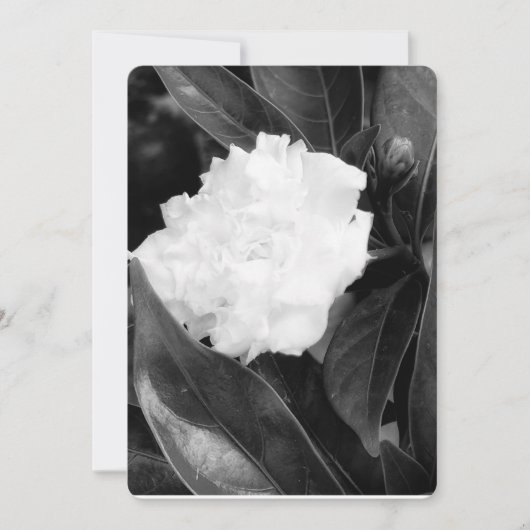 Monochrome Blüte Einladung (Vorderseite)