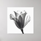 Monochrome botanical fine art photograph leinwanddruck (Vorderseite)
