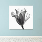 Monochrome botanical fine art photograph leinwanddruck (Insitu (Holzboden))