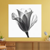 Monochrome botanical fine art photograph leinwanddruck (Insitu (Wohnzimmer))