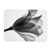 Monochrome botanical fine art photograph magnet (Horizontal)