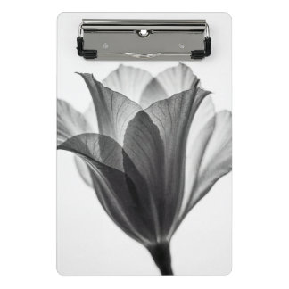 Monochrome botanical fine art photograph mini klemmbrett