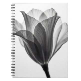 Monochrome botanical fine art photograph notizblock