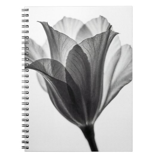 Monochrome botanical fine art photograph notizblock (Vorderseite)