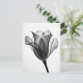 Monochrome botanical fine art photograph postkarte (Stehend Vorderseite)